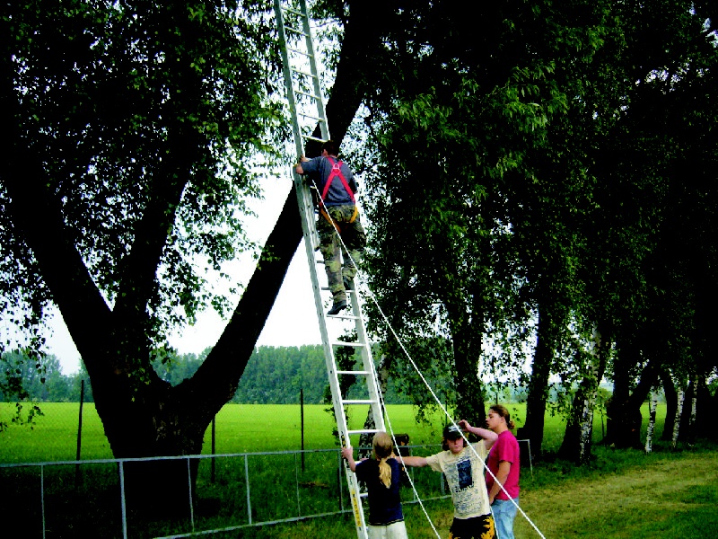 img00007.jpg