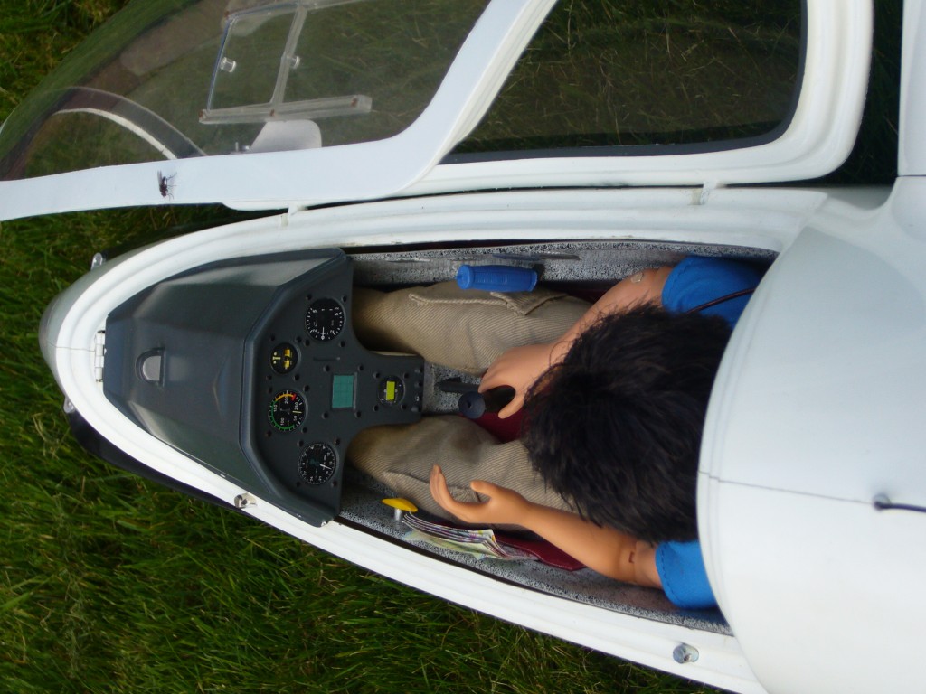 img00010.jpg