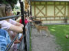 Kroměříž dovolená 2004