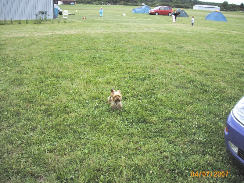 img00026