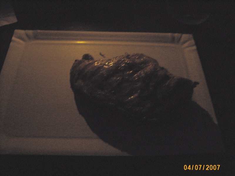 img00065