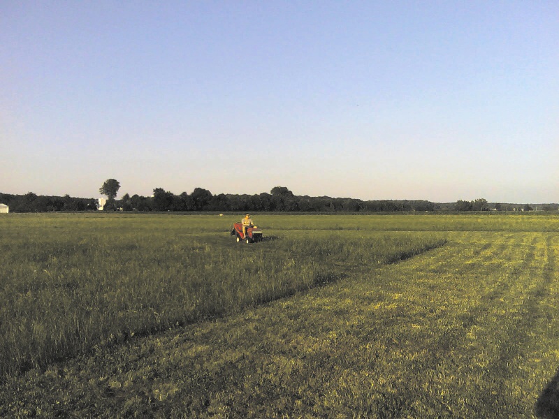 img00104