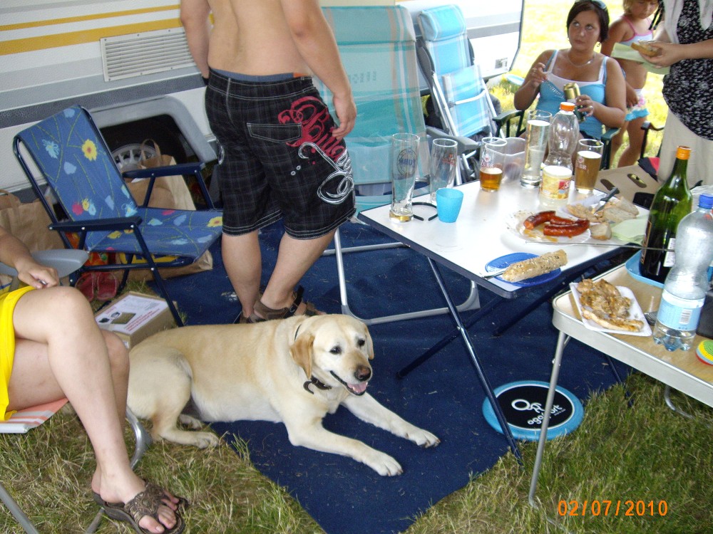 img00161