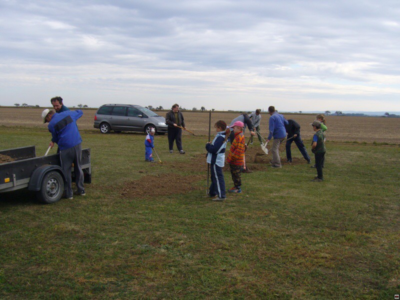 img00016.jpg