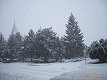 img00001