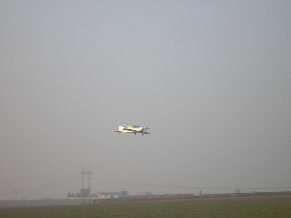 img00006.jpg