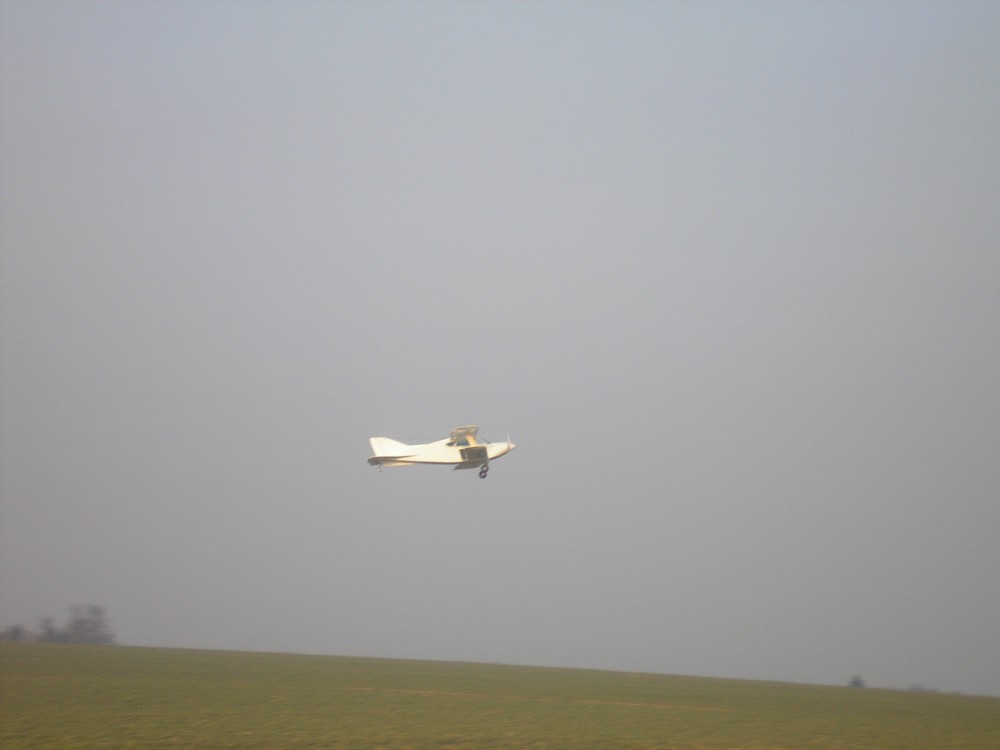 img00011.jpg