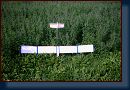 u-vrby-10-08-2003-003 