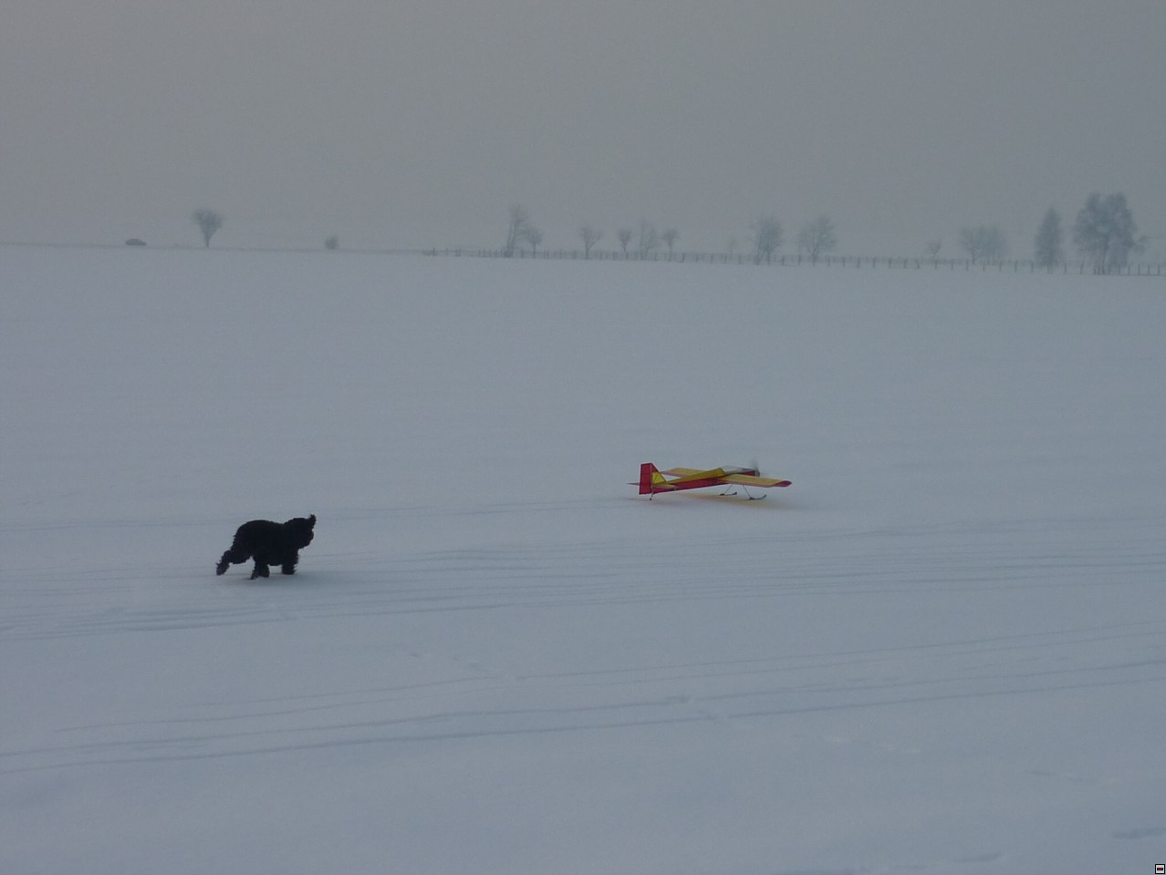 img00005.jpg